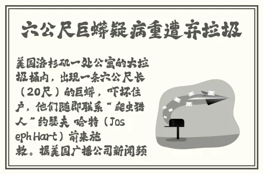 高清无码中文字幕专区